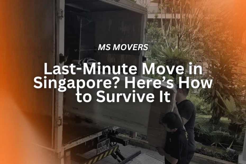 last minute moving service